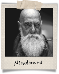 Polaroid-nicodemus.png