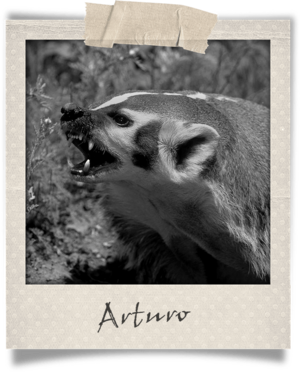 Polaroid-Arturo.png