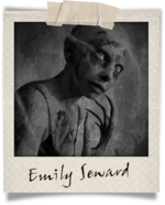 Polaroid-emily seward.png