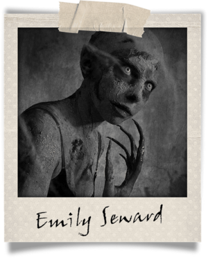 Polaroid-emily seward.png