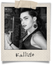 Polaroid-kalliste.png