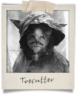 Polaroid-Toecutter.png