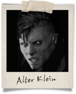 Polaroid-alter klein.png