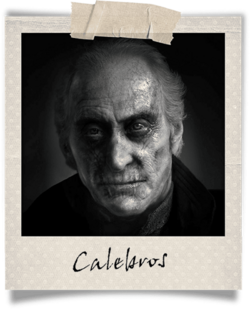 Polaroid-calebros.png