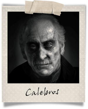 Polaroid-calebros.png