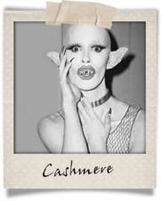 Polaroid-cashmere.png