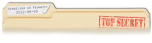 Report 2022-08-08.png